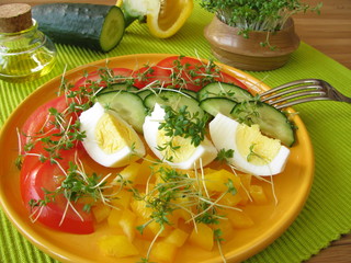Bunter Salat mit Kresse und Ei