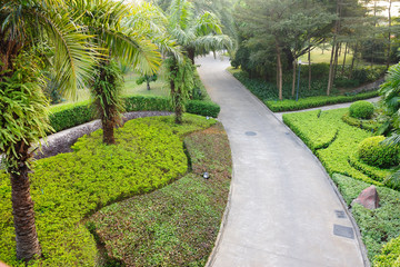 Obraz premium Road in garden