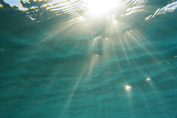 Water rays