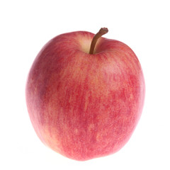 Apfel Elstar