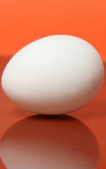 egg