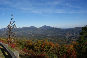 Blue Ridge Autumn