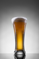 Beer in glass on white background
