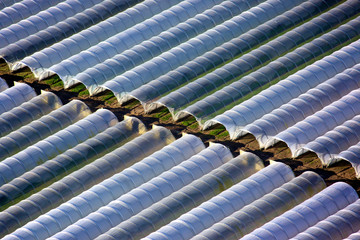 serres agricole vue du ciel