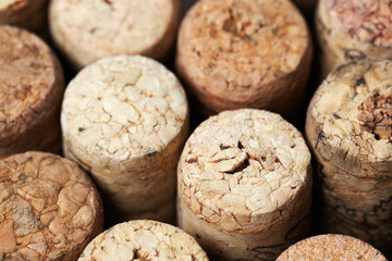wine cork