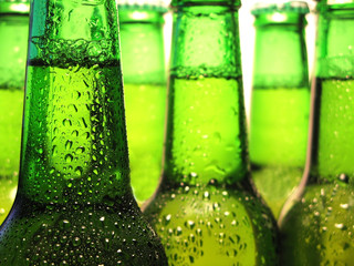 Row of beer bottles