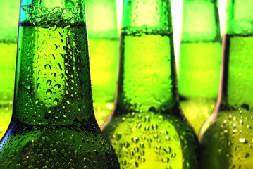Row of beer bottles