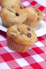 Chocolate Chip Muffins