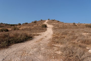 Countryside road leads to the top of yellow autumn hill