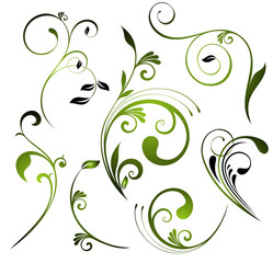 Set of floral elements