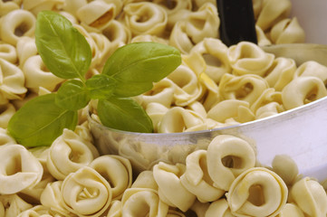 Tortellini
