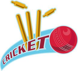 cricket ball bowling wicket - obrazy, fototapety, plakaty