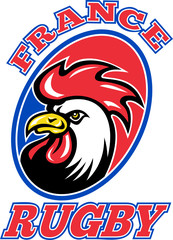 france rugby cockerel © Redwater Vectors