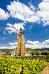vineyard at Arbois, Département Jura, Franche-Comté, France