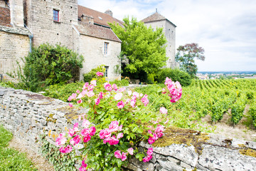 Fototapeta na wymiar Gevrey-Chambertin Castle, Cote de Nuits, Burgundy, France