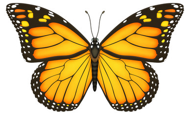 Monarchfalter, Schmetterling, Monarch, Falter