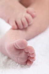 bebe,