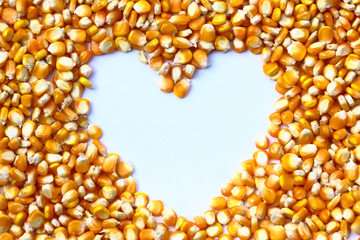 Yellow corn