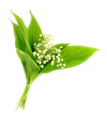 Peel and stick wall murals Lily of the valley lilies of the valley
