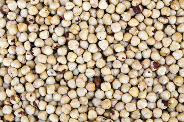 Peeled and salted hazelnuts