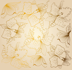 background with beautiful orchids