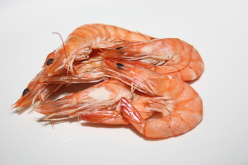 crevettes