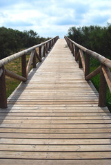 Fototapeta na wymiar Drewniana ścieżka na plażę. BARBATE, Cadiz