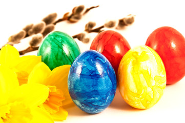 Easter painted eggs and daffidol flowers.