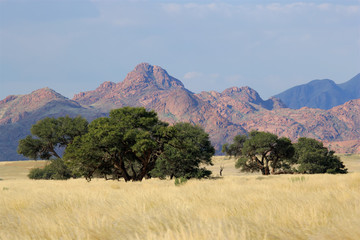 Desert landscape near Sossusvlei, Nambibia