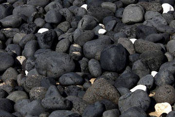 one white stone standing out among gray ones