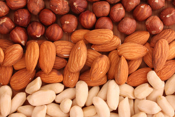 Different types of nuts