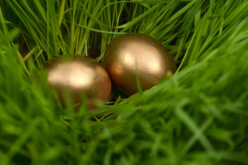 Easter eggs