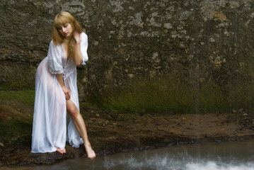 Naklejka premium Elfe