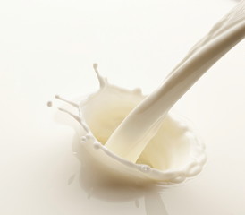 Splash of milk on a white background