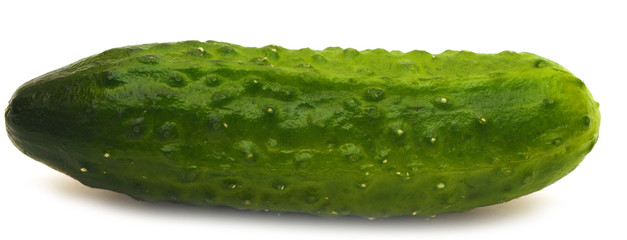 Fresh green Cucumber
