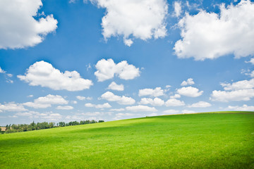 agriculture landscape