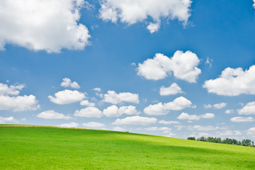 agriculture landscape