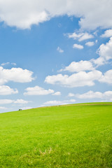 agriculture landscape