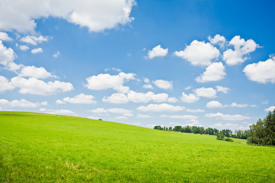 Fototapeta agriculture landscape