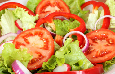 Healthy salad with fresh vegetables