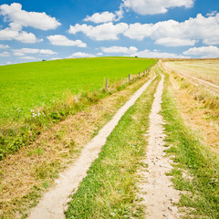 Fototapeta premium agriculture landscape