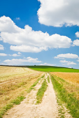 agriculture landscape