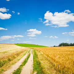 agriculture landscape