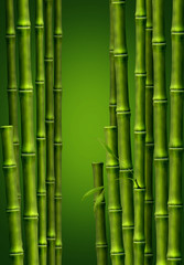 Бамбуковая роща, фон из стеблей бамбука