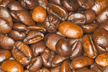 Kaffeebohnen