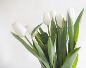 Obraz na płótnie Canvas le bouquet de tulipes
