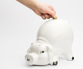 piggy bank