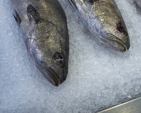 two cod fish head closeup at the central market