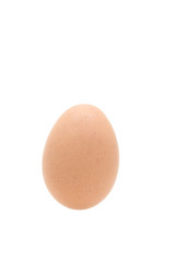 isolated egg on white