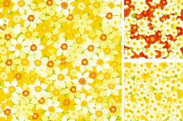 floral seamless backgrounds of spring primroses